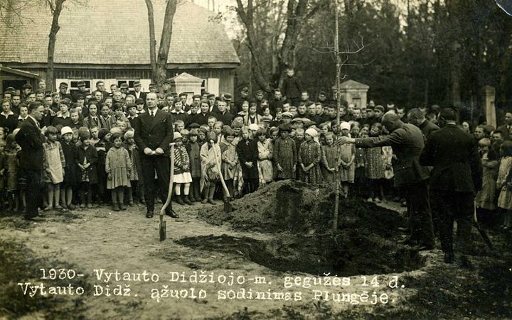 1930 m. Vytauto Didžiojo ąžuolo sodinimas Plungėje.