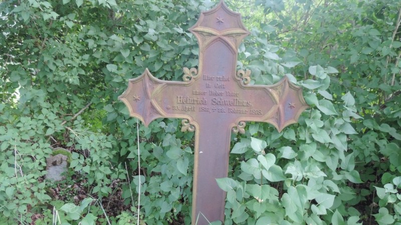 Išlikęs sveikas kaimo kapinių kryžius.
